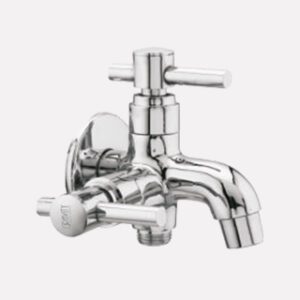 2 in 1 Bib Cock with CP Flange