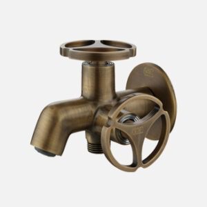 2 in 1 Bib Cock with Flange