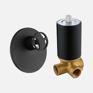 3 Way Diverter with Expose Parts (2 inlet 1 Outlet)